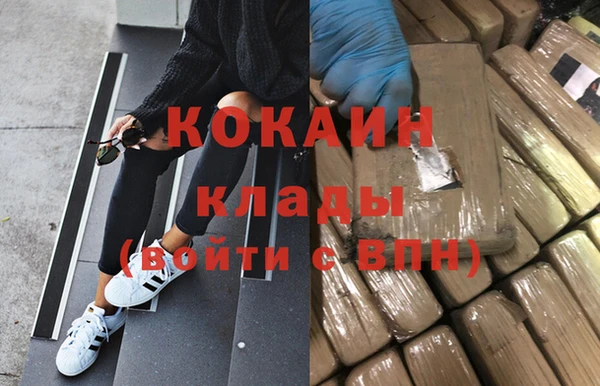 гашик Михайловка