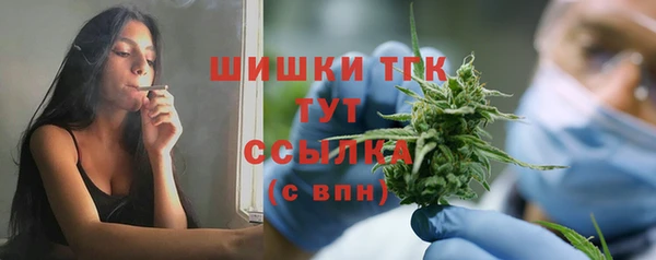 гашик Михайловка
