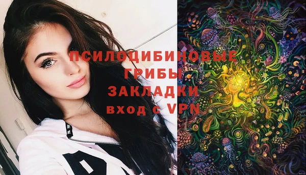 гашик Михайловка